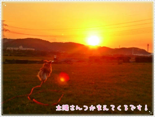 太陽さんをつかまえろぉ～