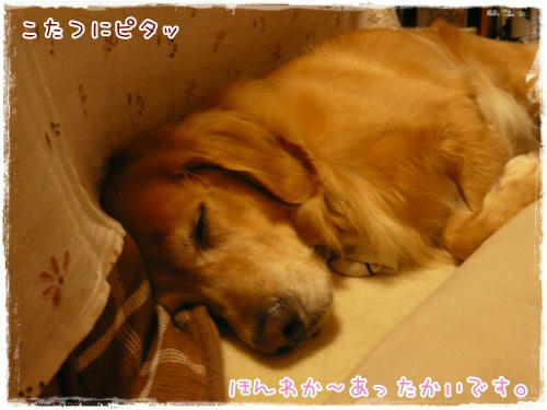 ほんのり暖かいの。