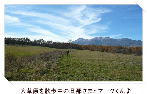 img20081103194510540.jpg