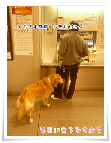 電車に乗るですか？