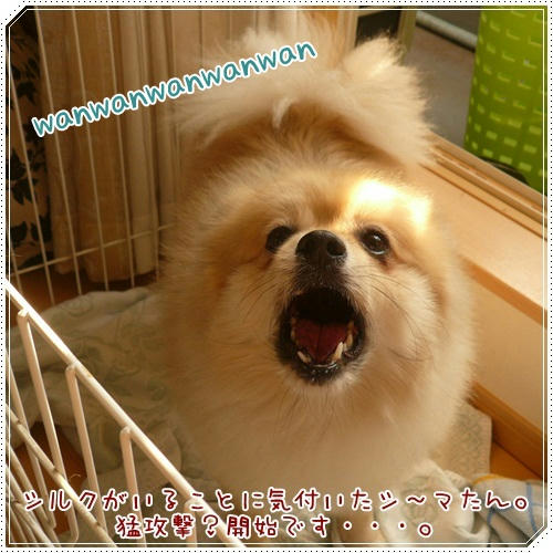 wanwan