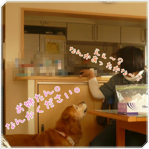 なんかください。