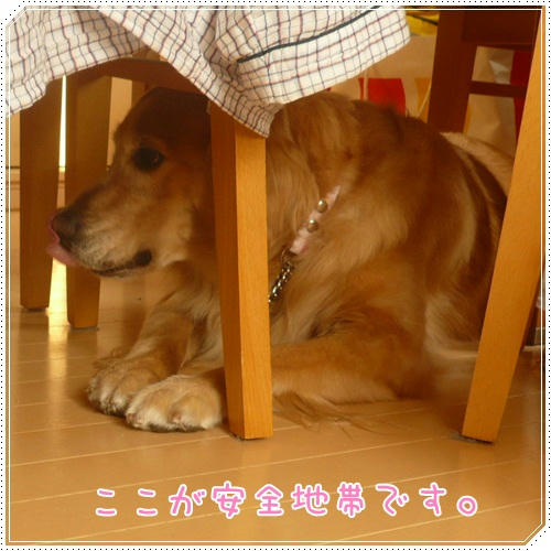 ここなら安全