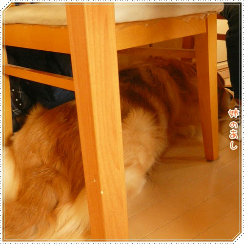 窮屈じゃないの？