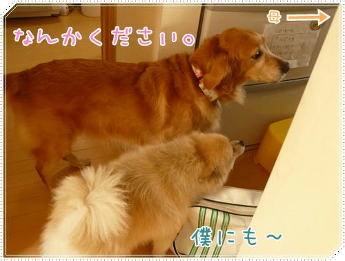 なかよくおねだり
