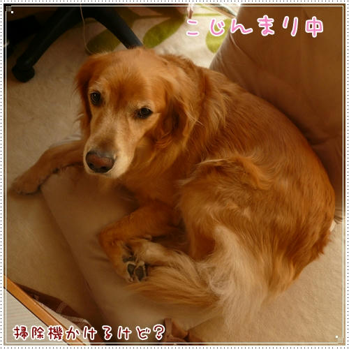 こじんまり中