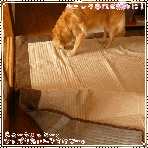 チェック中ですよ。