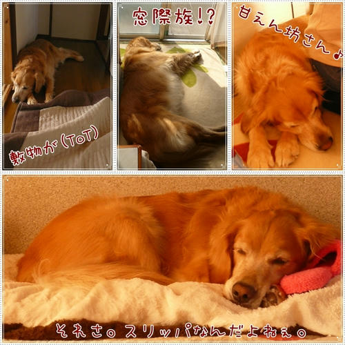 ねんね