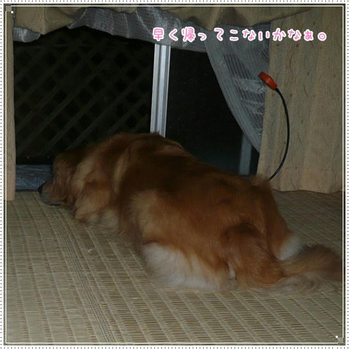 早く帰ってこないかな～。