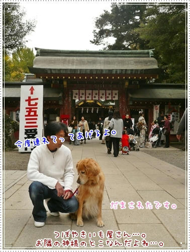 だまされたです。