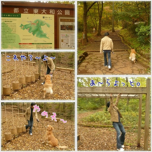 東大和公園