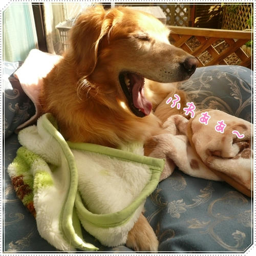 ふわぁぁ～