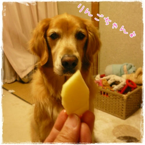 りんごちゃん。
