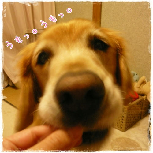 うもっ。うもっ。
