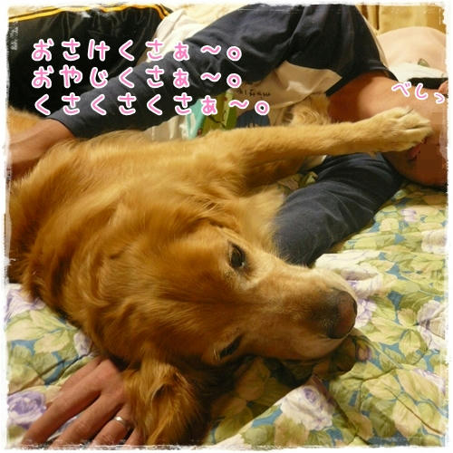 くさくさくさ～