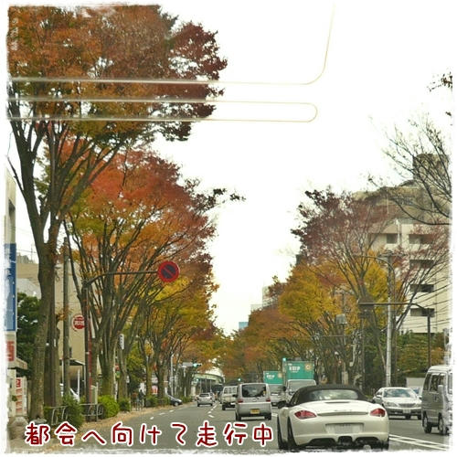 甲州街道