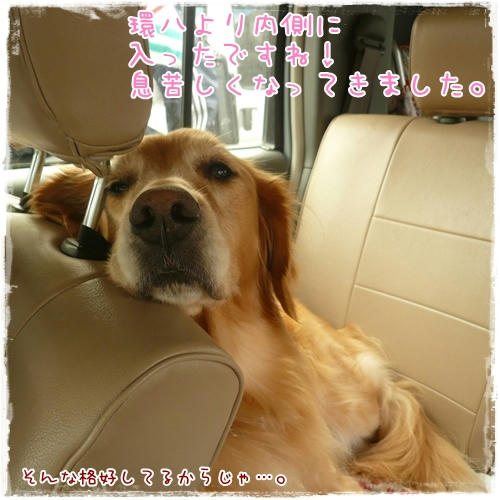 息苦しい