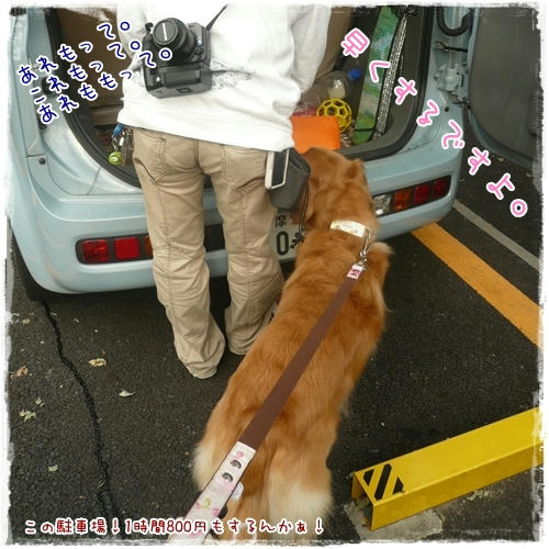 早くするですよ。
