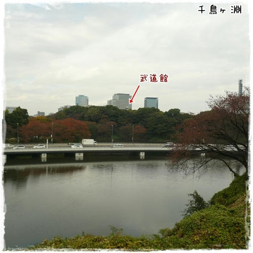 千鳥ヶ淵