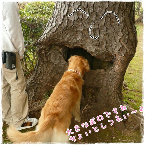 大きなお口