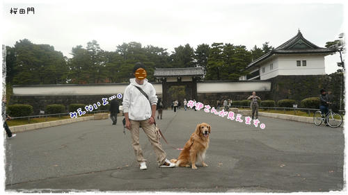 桜田門