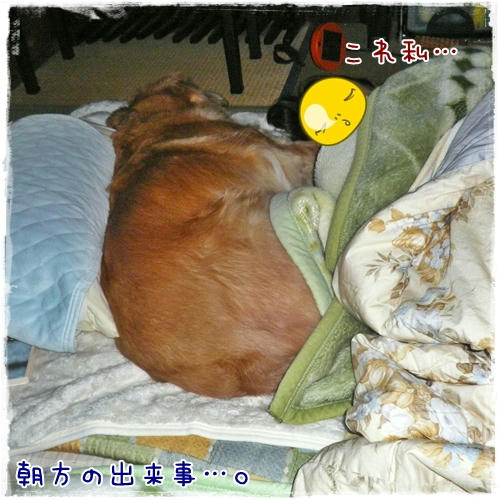 押し出し・・・。