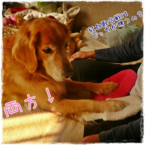 どっち？