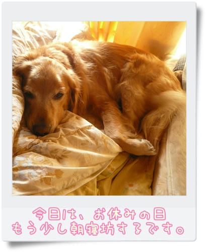 お寝坊したいです。