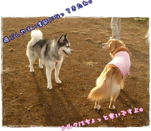 いい季節