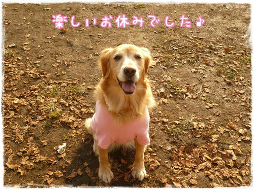 楽しかったです