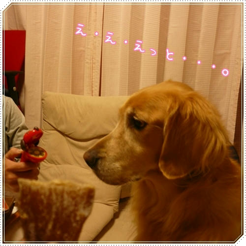迷うです