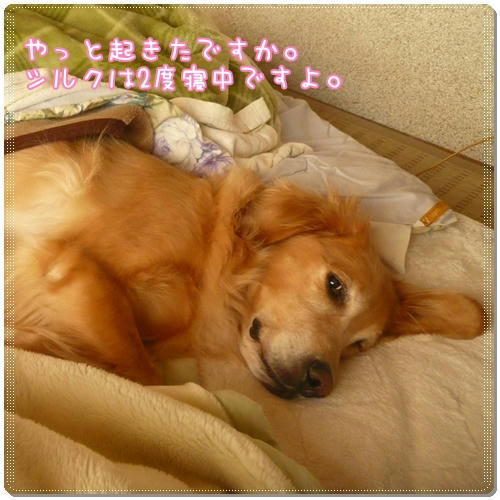 起きました。