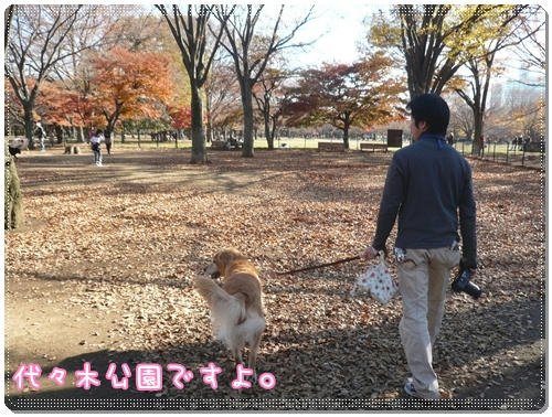 代々木公園ランラン♪