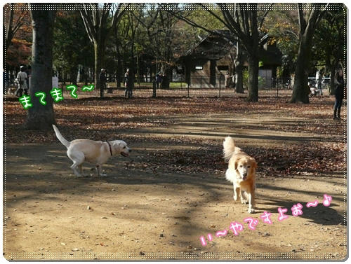 おいかけっこ