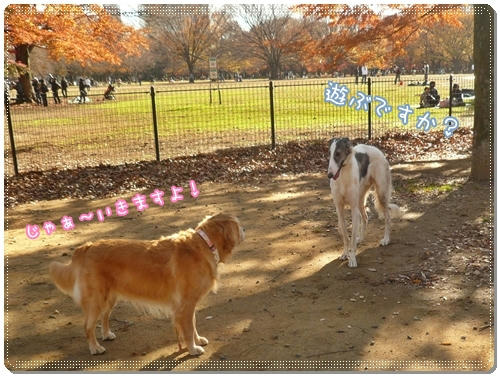 じゃぁ~いきますよぉ~