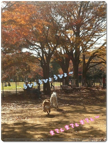 まてぇまてぇまてぇ~