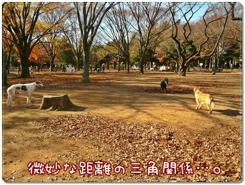 三角関係?