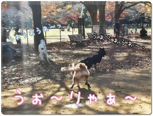 うぉ~りゃっ