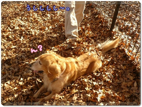そんなとこに座ったら・・・。