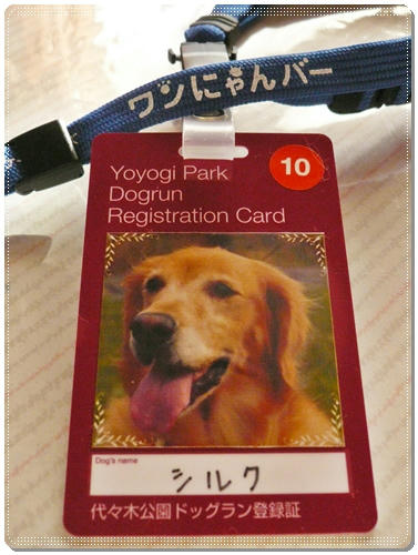 Registration cardCard