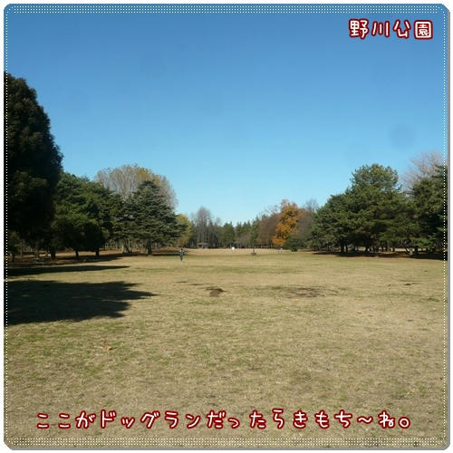 野川公園