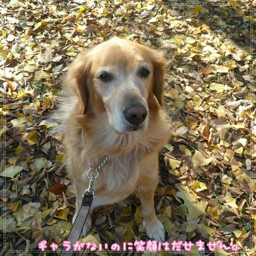 えがお・・・。