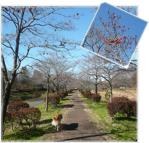 探検はつづく