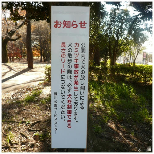 ごめんなさい。