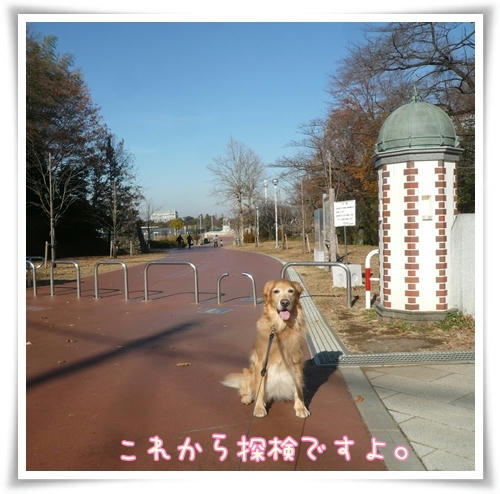 これから探検です。