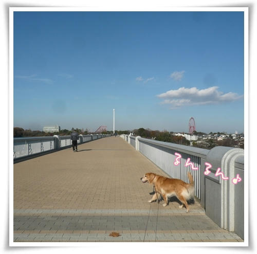 るんるん