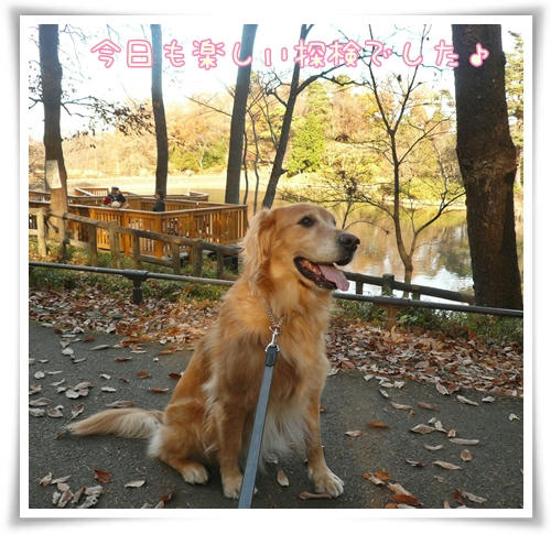 誰に報告してんの？