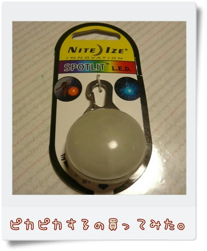 ナイトアイズ　SPOTLIT　スポットリット 