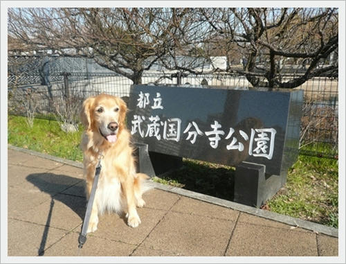 武蔵国分寺公園