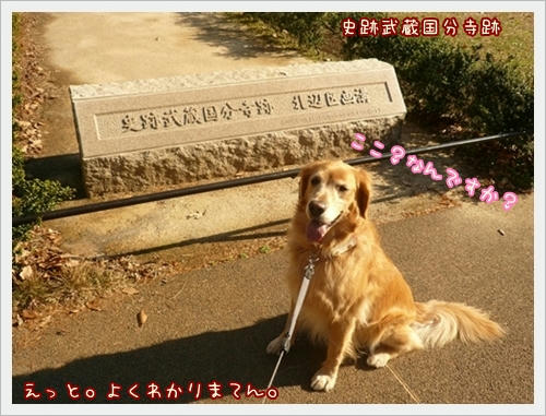 史跡武蔵国分寺跡